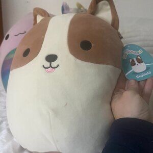 Dog little flaw  has tag